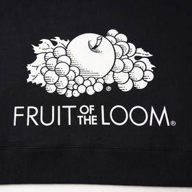 FRUIT OF THE ROOM Χ SECRET BASE Χ HONESTBOY Hoodie 詳細画像