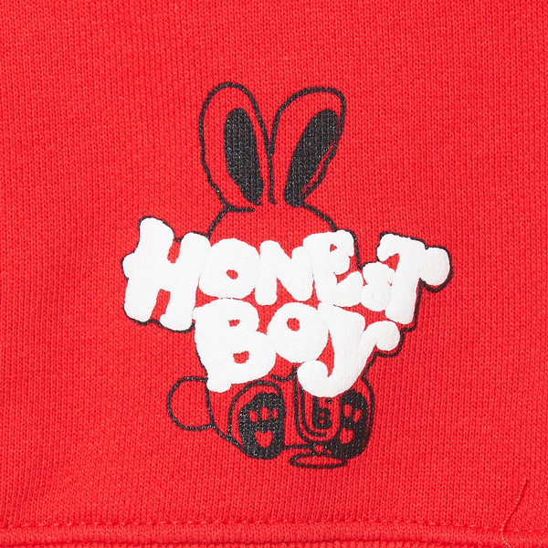 HB Front Arch Logo Hoodie 詳細画像 Red 4
