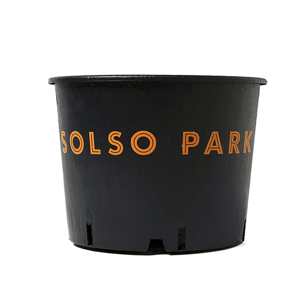 SOLSO PARK × STUDIO SEVEN Nursery Pot φ250 詳細画像