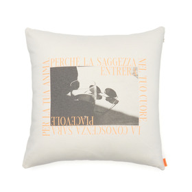 Photo Graphic Cushion