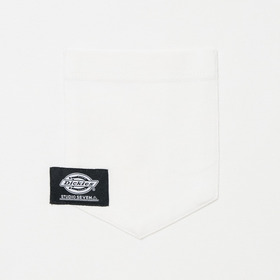 Dickies® x STUDIO SEVEN BIG T-SHIRT 詳細画像