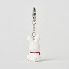 Roger 3D KeyRing 詳細画像