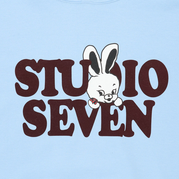 Roger Face Hoodie 詳細画像 Brown 12