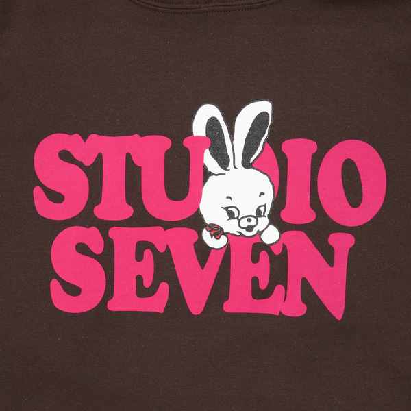 Roger Face Hoodie 詳細画像 Brown 3