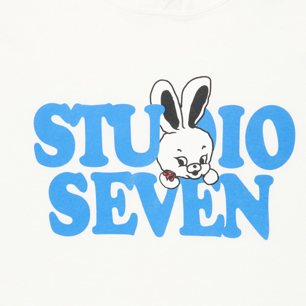 Roger Face Hoodie 詳細画像 Brown 8